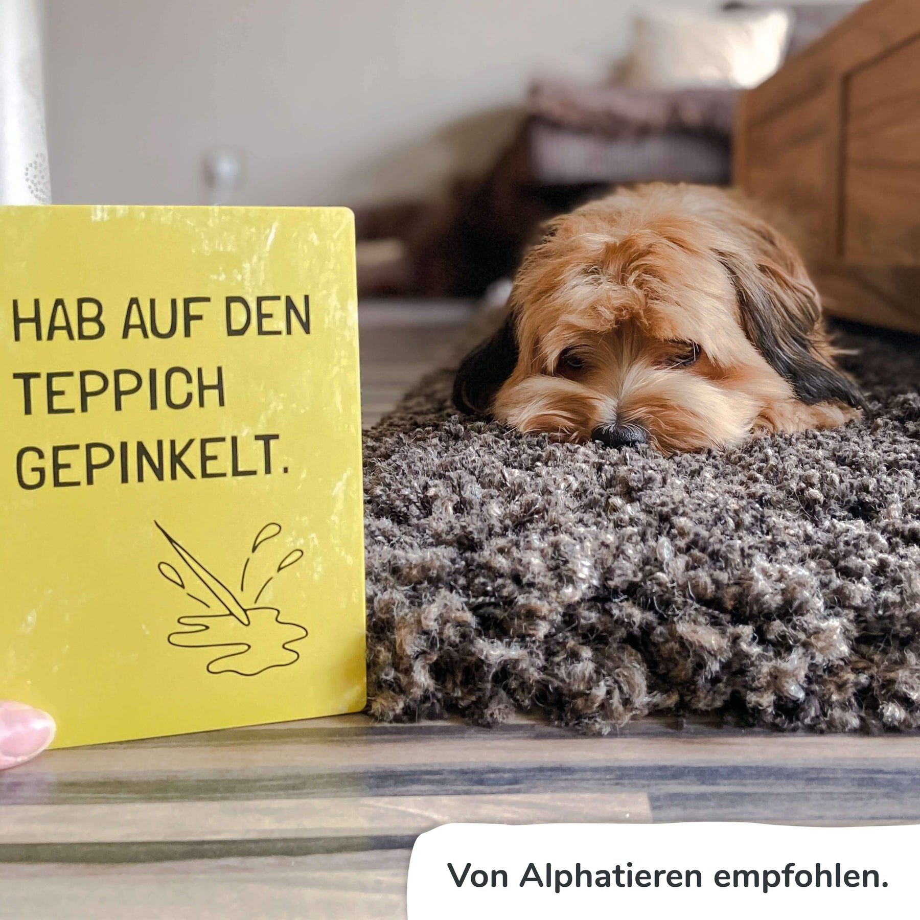 Ehrliche Meilensteine - HUNDE - Pihu