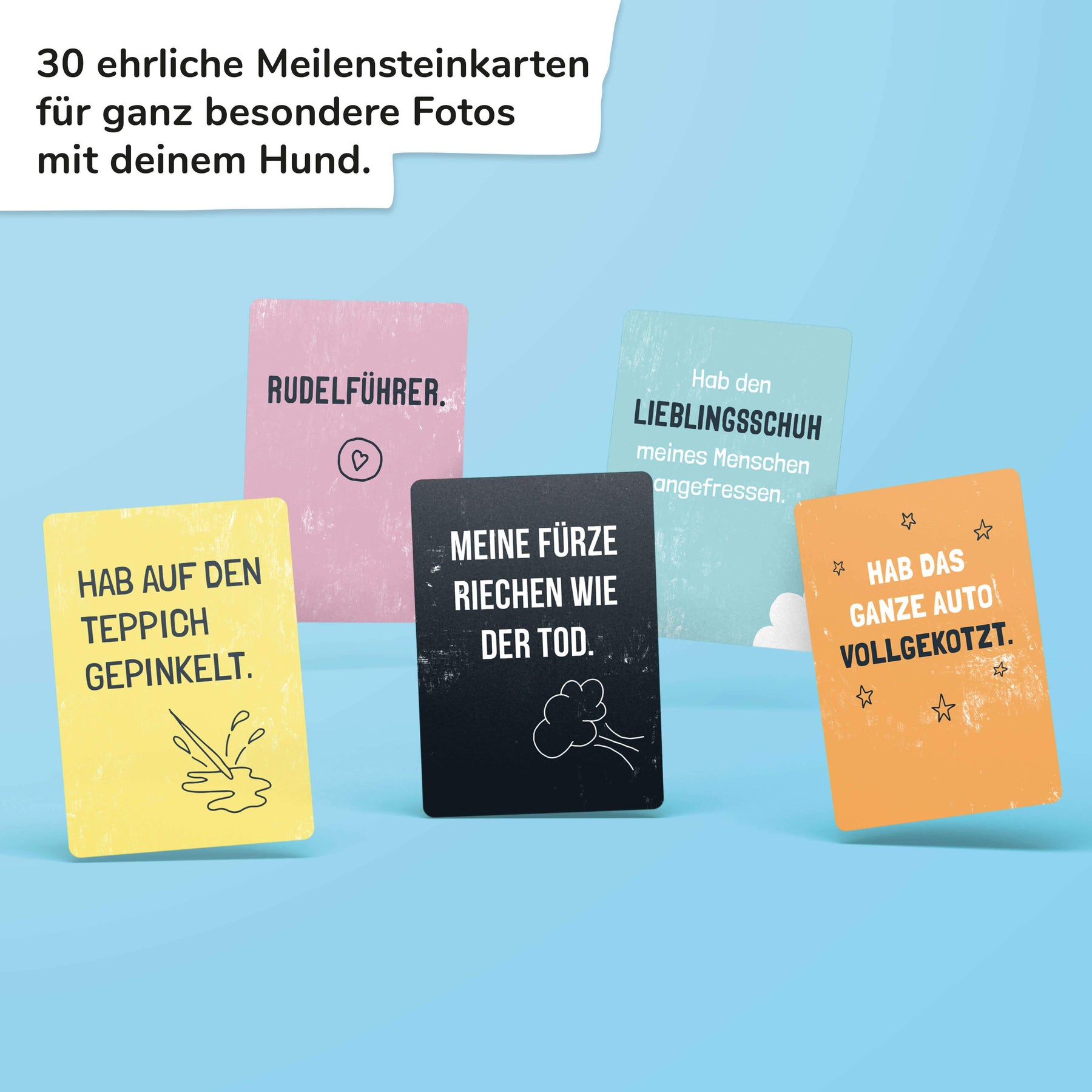 Ehrliche Meilensteine - HUNDE - Pihu